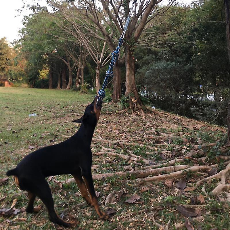 Spring pole tug of war dog rope toy