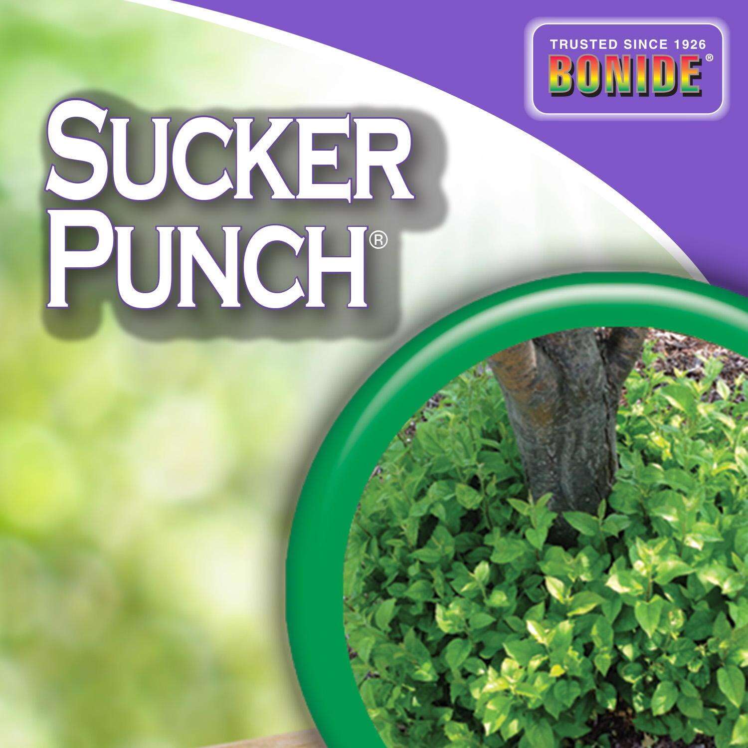 Bonide Sucker Punch Tree Roots Killer RTU Liquid 16 oz