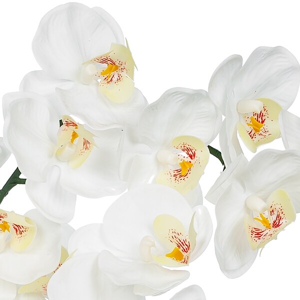 8 Pieces Nearly Natural Plastic Phalaenopsis Silk Orchid in Glass Vase