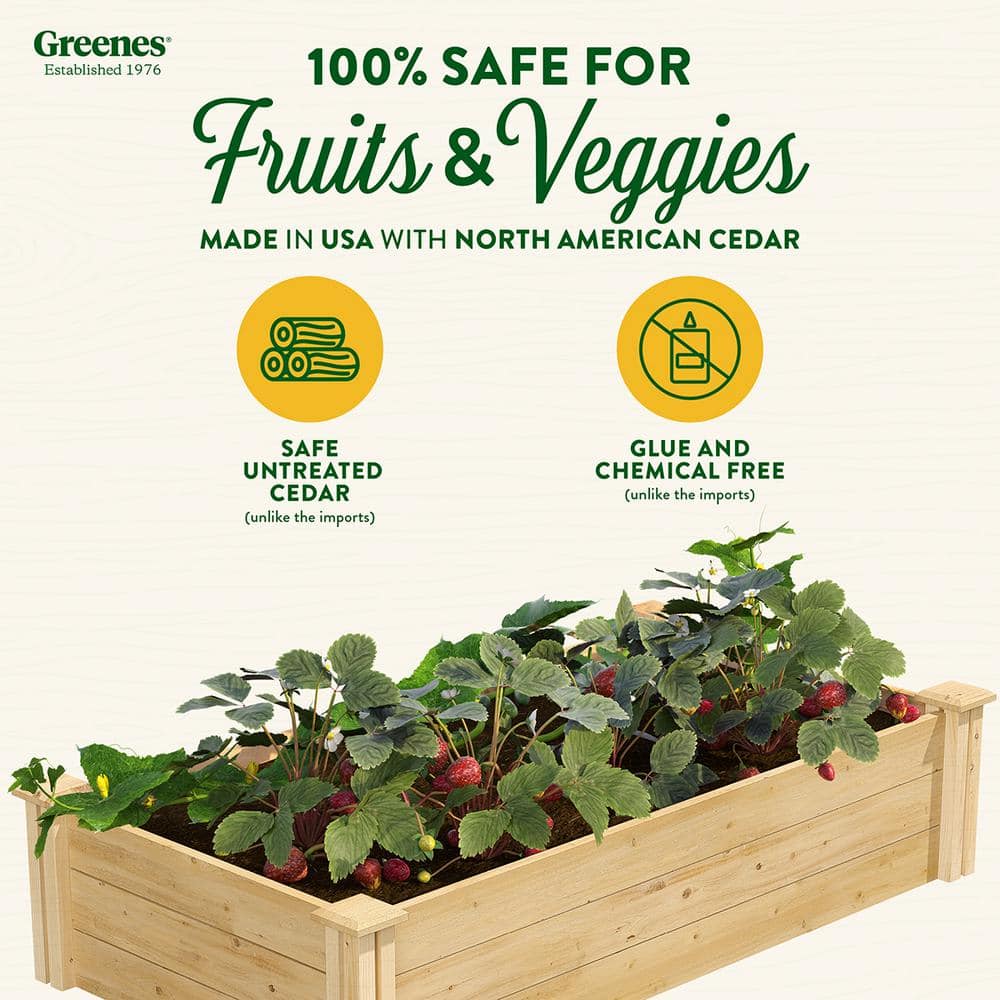 Greenes Fence 2 ft. x 4 ft. x 10.5 in. Original Cedar Raised Garden Bed RC24484T