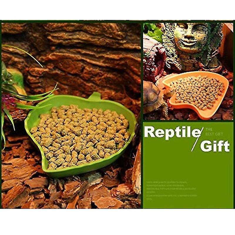 Pieces Reptile Food Bowl Er Reptile Dish For S Pets Reptile， Tortoise， Lizard， ， ()