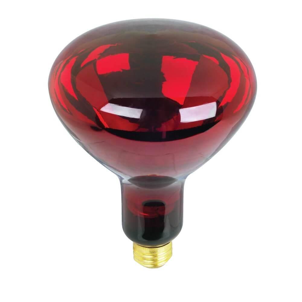 Feit Electric BR40 250-Watt 120-Volt Incandescent Red Heat Lamp Light Bulb 250R4010