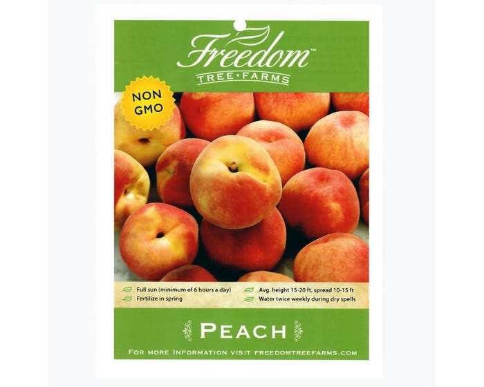 Freedom Tree Farms Blaze Prince Yellow Peach Tree in 5 Gallon Bucket