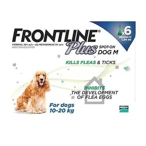 Frontline Plus Medium Dogs 23-44lbs(10-20kg)， 6 Pack