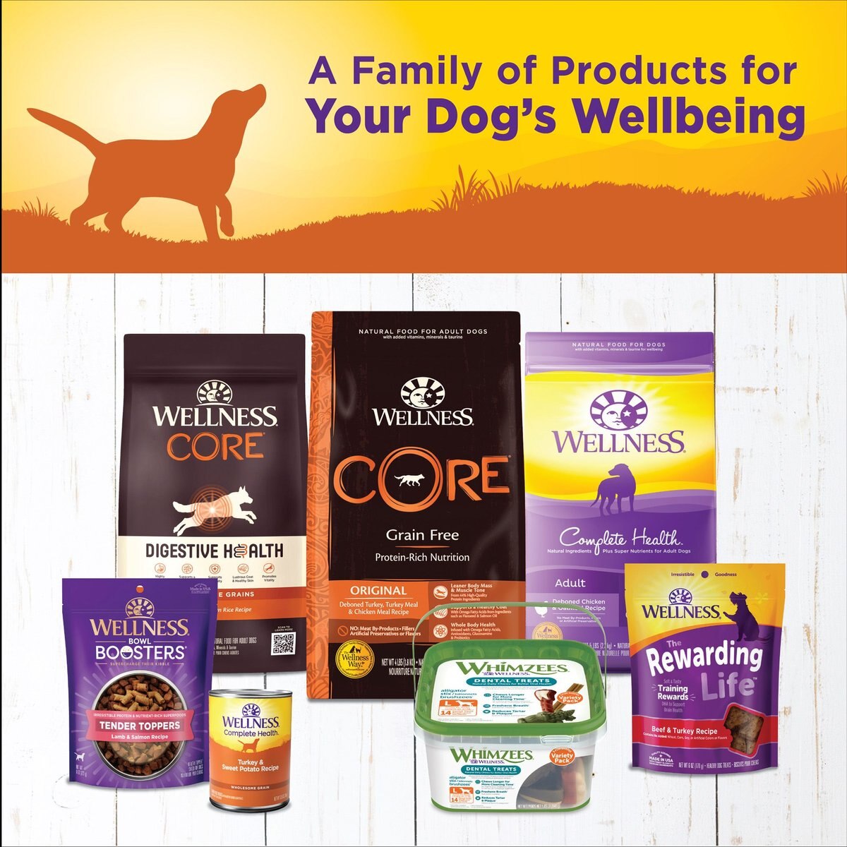 Wellness Complete Health Turkey and Sweet Potato Formula Canned Dog Food