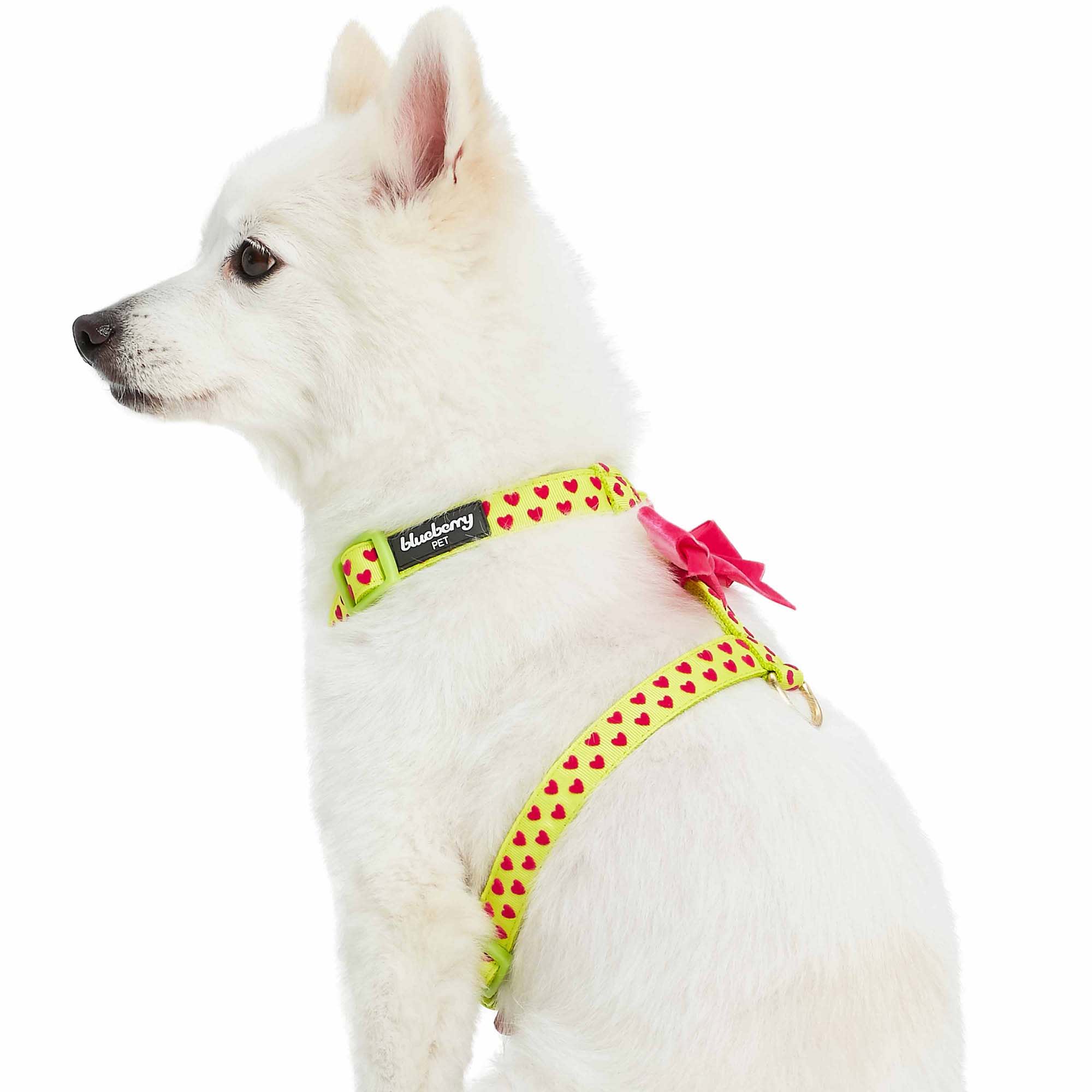 Blueberry Pet Highlighter Green Step-in Velvety Heart Flocking Dog Harness， Small