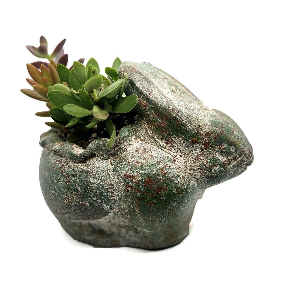 6 in. Succulent Rabbit Planter 21907