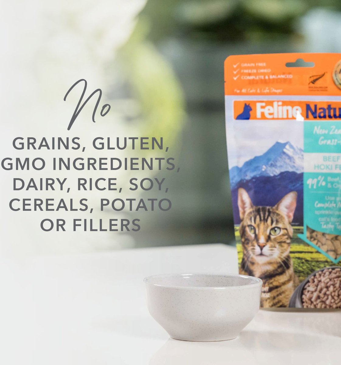 Feline Natural Chicken Grain-Free Freeze-Dried Cat Food， 11-oz bag