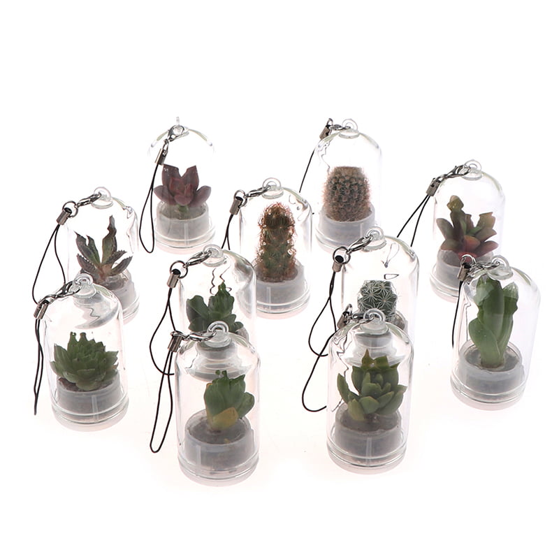 TruPeony Cute Cactus Miniature Succulent Cacti Terrarium Wearable Necklace Live Plant