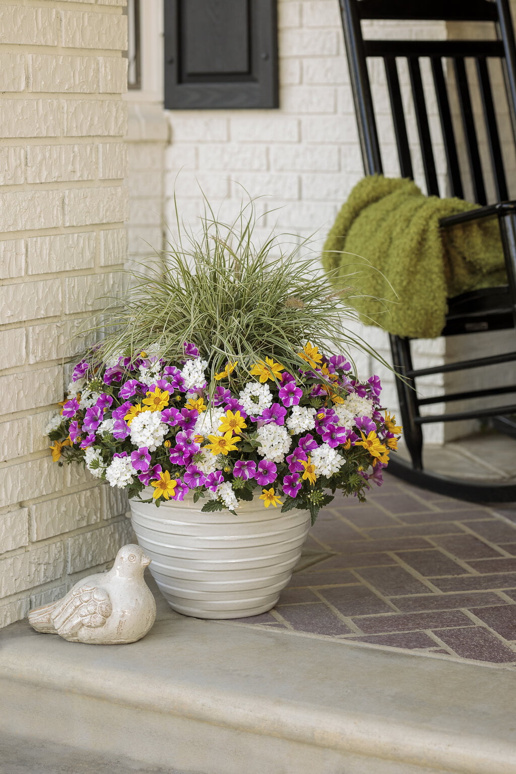 4.25 in. Eco+Grande， Supertunia Raspberry Rush (Petunia) Live Plant， Raspberry Pink and White Flowers (4-Pack)