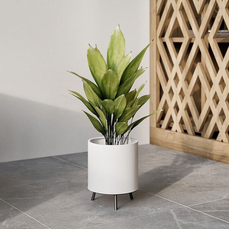 Raya White Mid Century Modern Planter with 3 Leg Metal Base