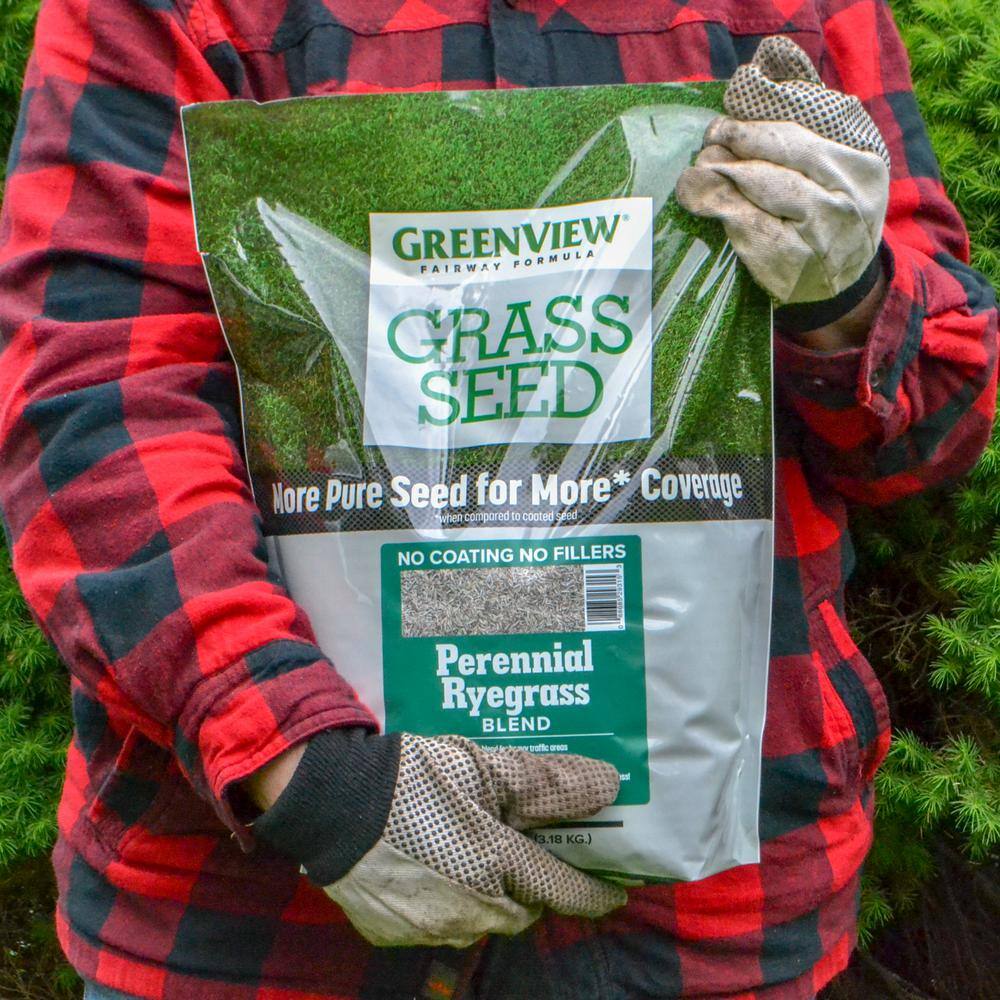 GreenView 7 lbs. Fairway Formula Grass Seed Perennial Ryegrass Blend 2829354