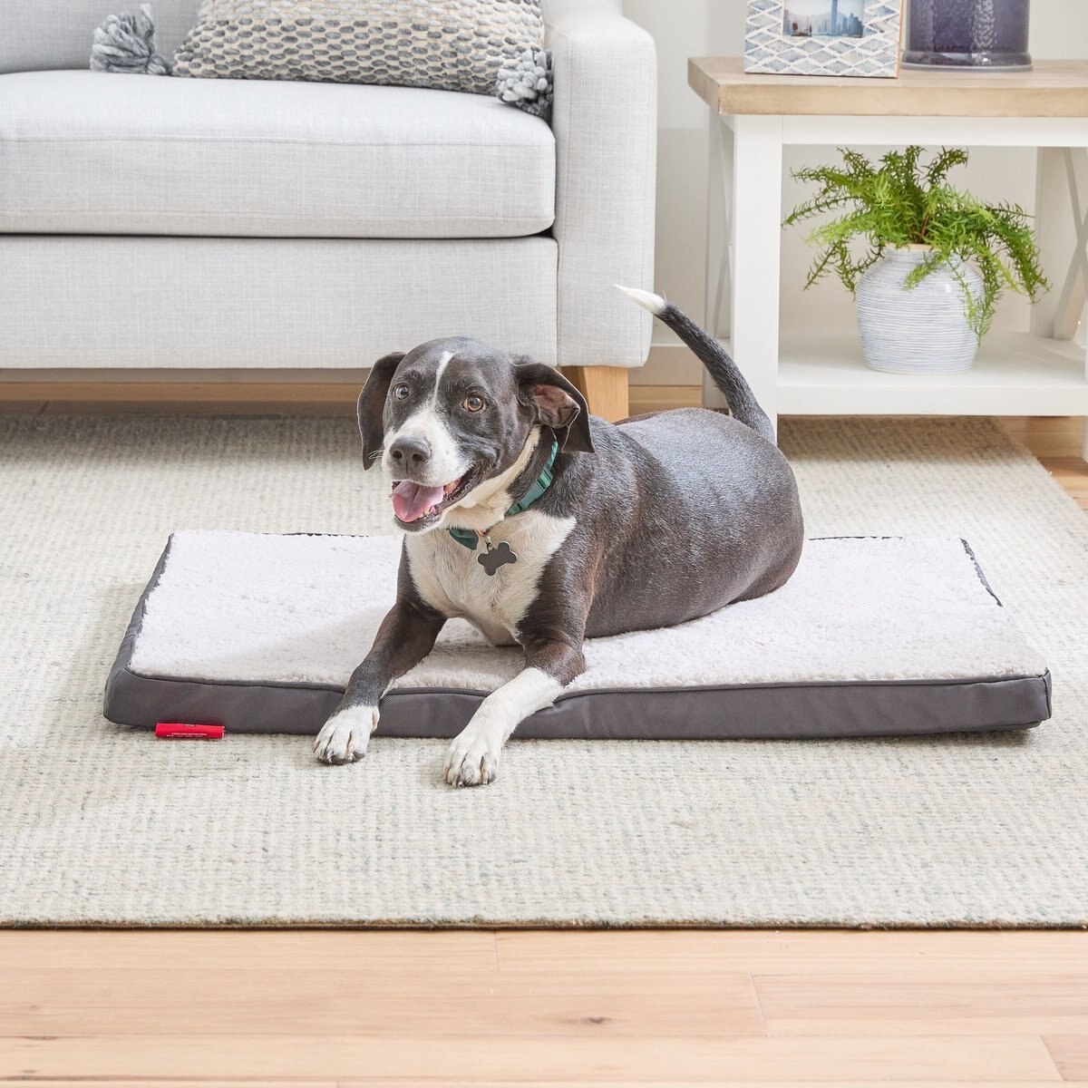 Brindle 2-in Orthopedic w/Machine Washable Cover Dog and Cat Bed