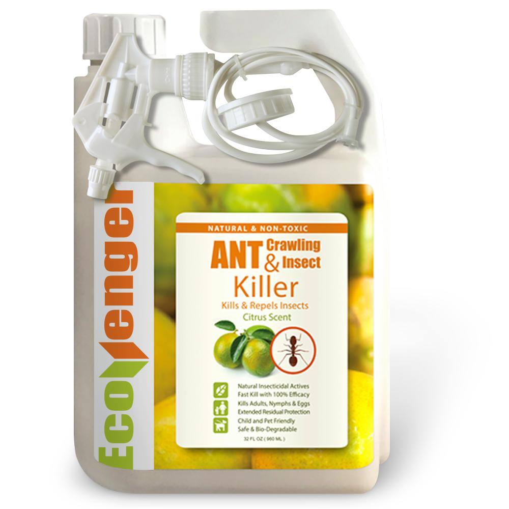 ECOVENGER Ant Insect KillerRepellent by EcoRaider 32OZ Instant Kill 4-Week Deterrence Plant-Based ChildPet-Safe EH1RM50032