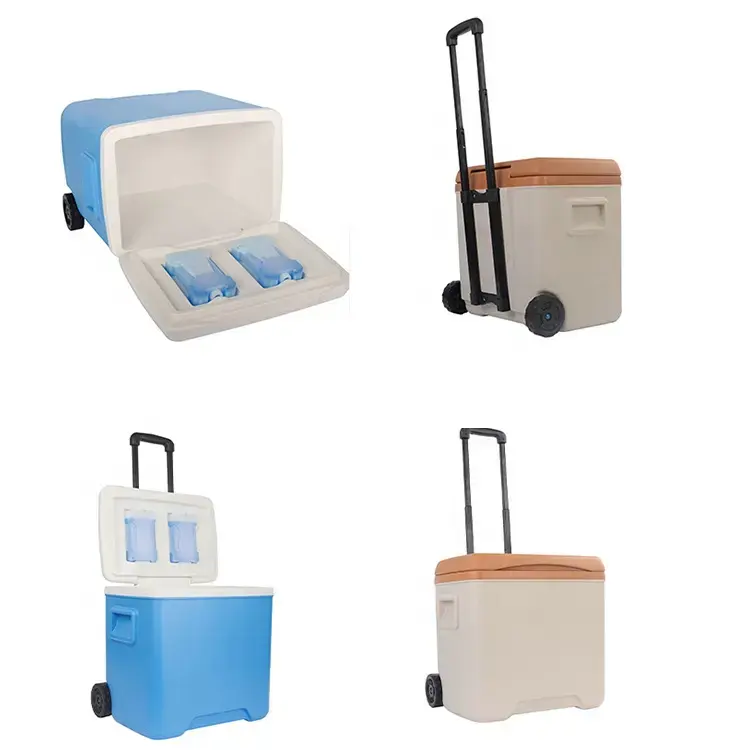 Cooler Box  Keep Your Food and Drinks Cold for 24 Hours Perfect for Outdoor Activities and Picnics Wheeled Drybox Cooler Box