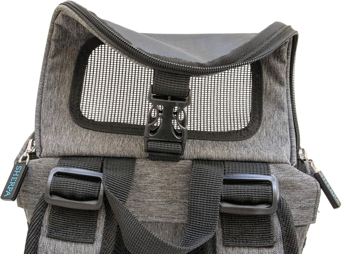 Sherpa Backpack Dog and Cat Carrier， Medium， Gray