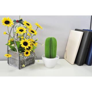 129 sq.ft. Nanum Cactus Non-Electric Personal Humidifier in Light Green C101-GRE