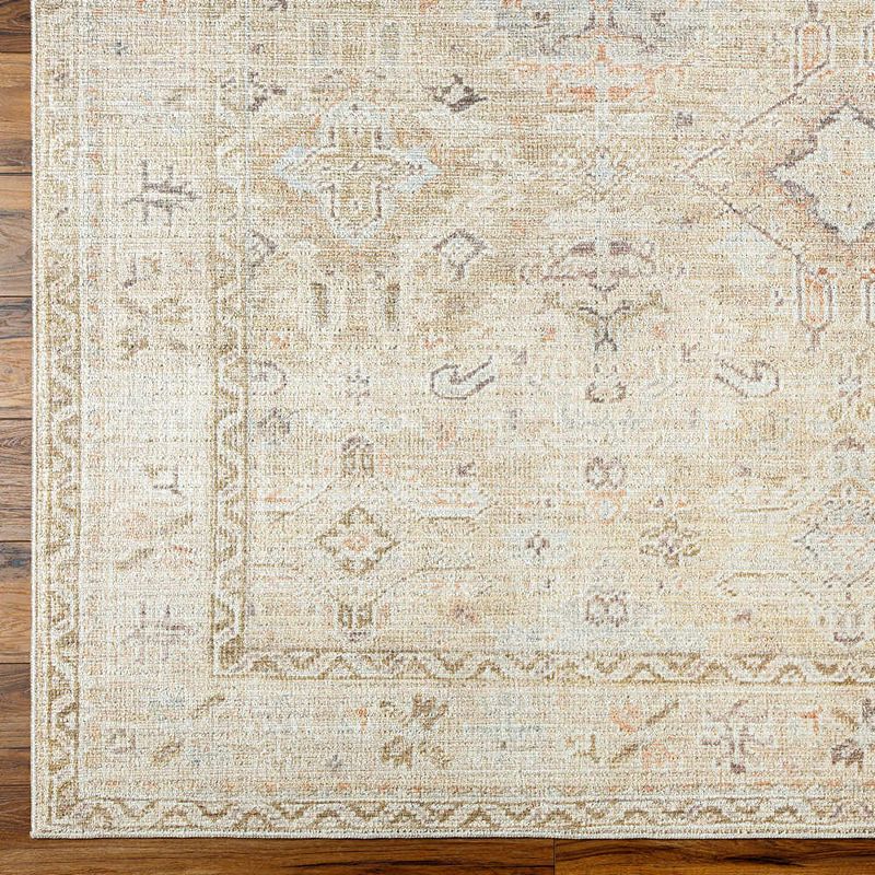 Crystall Traditional Area Rug