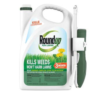 Roundup For Lawns1 1.33 gal. Ready-To-Use Extended Wand (Northern) 502021005