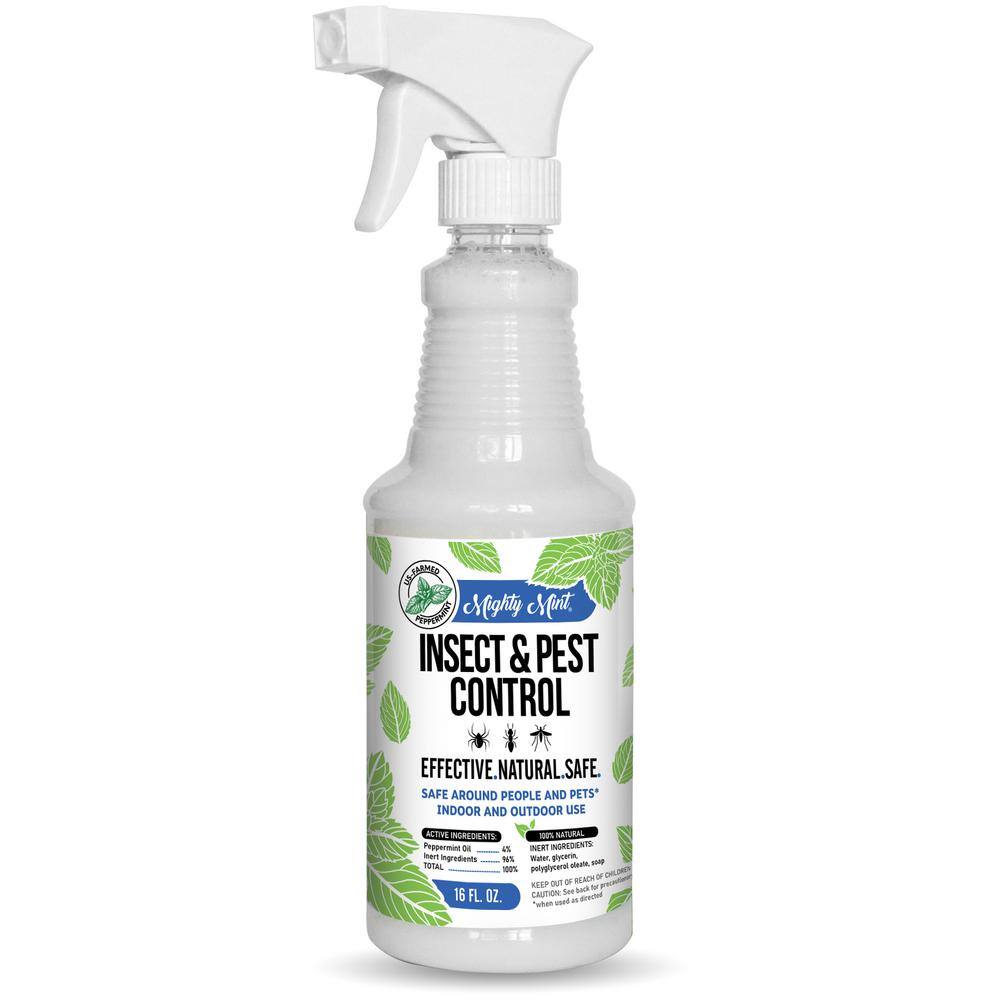 Mighty Mint 16 oz. Insect and Pest Control Peppermint Oil - Natural Spray for Spiders Ants and More IS-16