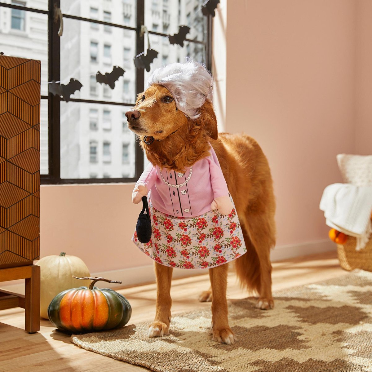 Frisco Front Walking Granny Dog and Cat Costume