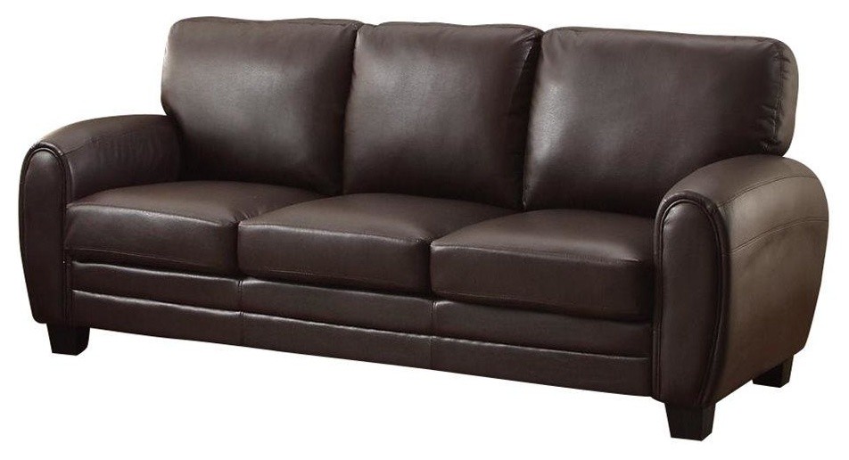 Rainier Casual Sofa  Dark Brown Leather   Transitional   Sofas   by AMOC  Houzz