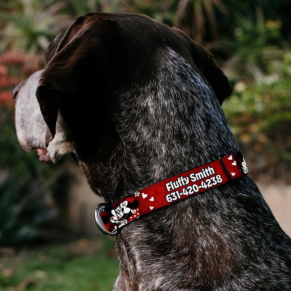 Buckle-Down Disney Mickey and Minnie Hugs and Kisses Poses Polyester Personalized Dog Collar