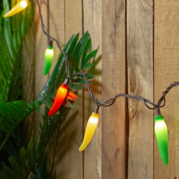 Northlight 35 count Vibrantly Colored Chili Pepper String Light Set 22 5 x27 Brown Wire