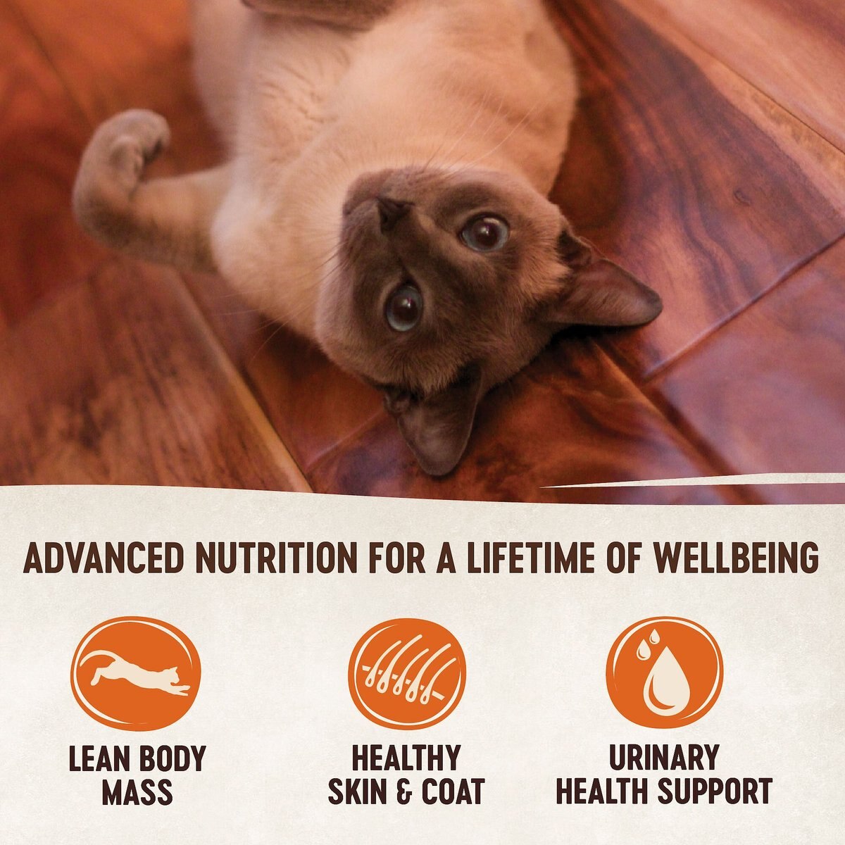 Wellness CORE Simply Shreds Grain-Free Wild Salmon and Tuna Wet Cat Food Topper