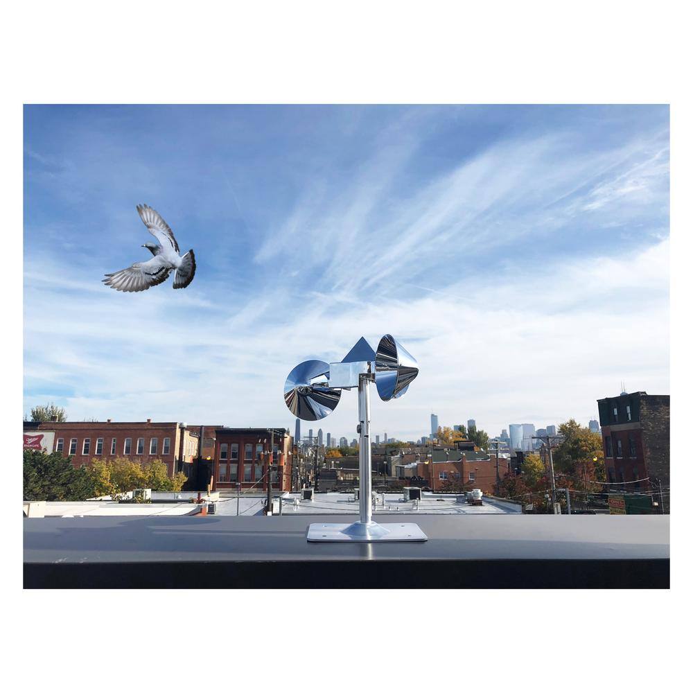 Bird-X Original Bird Deflector Pest Pigeons Bird Repellent BD