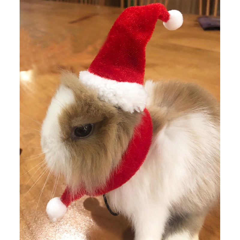 Legendog Small Pet Christmas Costume Hamster Santa Hat Xmas Claus Cap with Scarf for Guinea Pig Chinchillas Rabbit Hamster