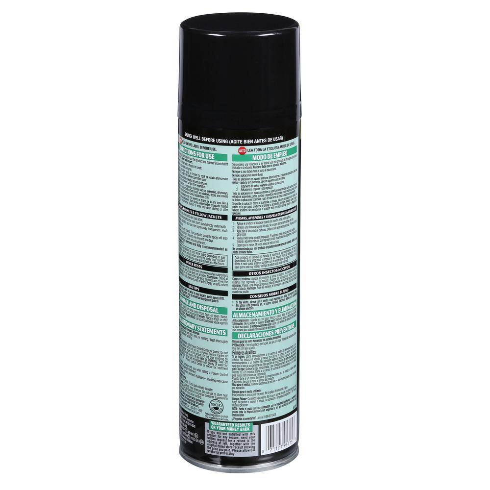 Spectracide Aerosol Wasp and Hornet Killer Spray (2-Count) HG-65865-1