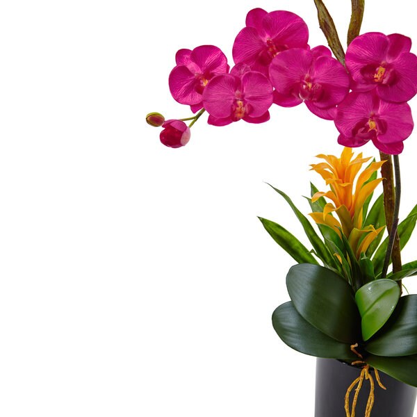 Nearly Natural Orchid and Bromeliad in Glossy Black Cylinder