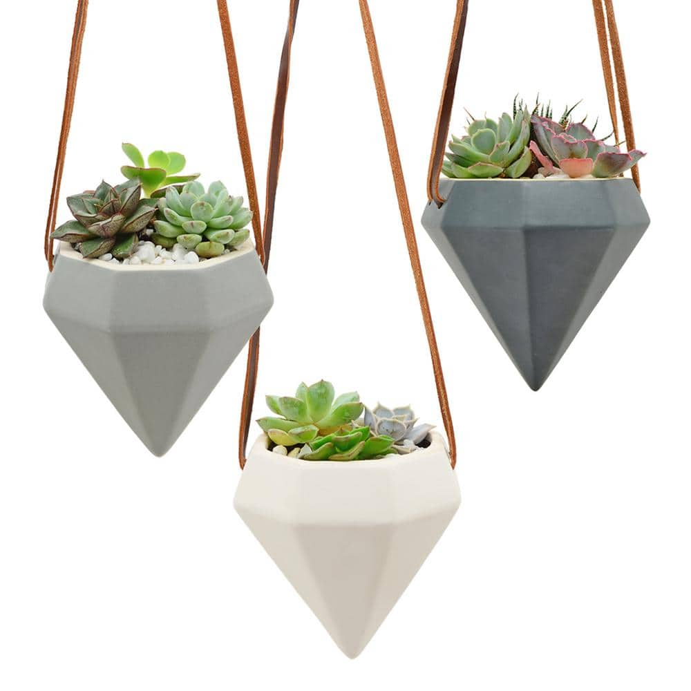 Arcadia Garden Products Diamond 4-12 in. x 4-12 in. Matte White Ceramic Hanging Planter AP13W