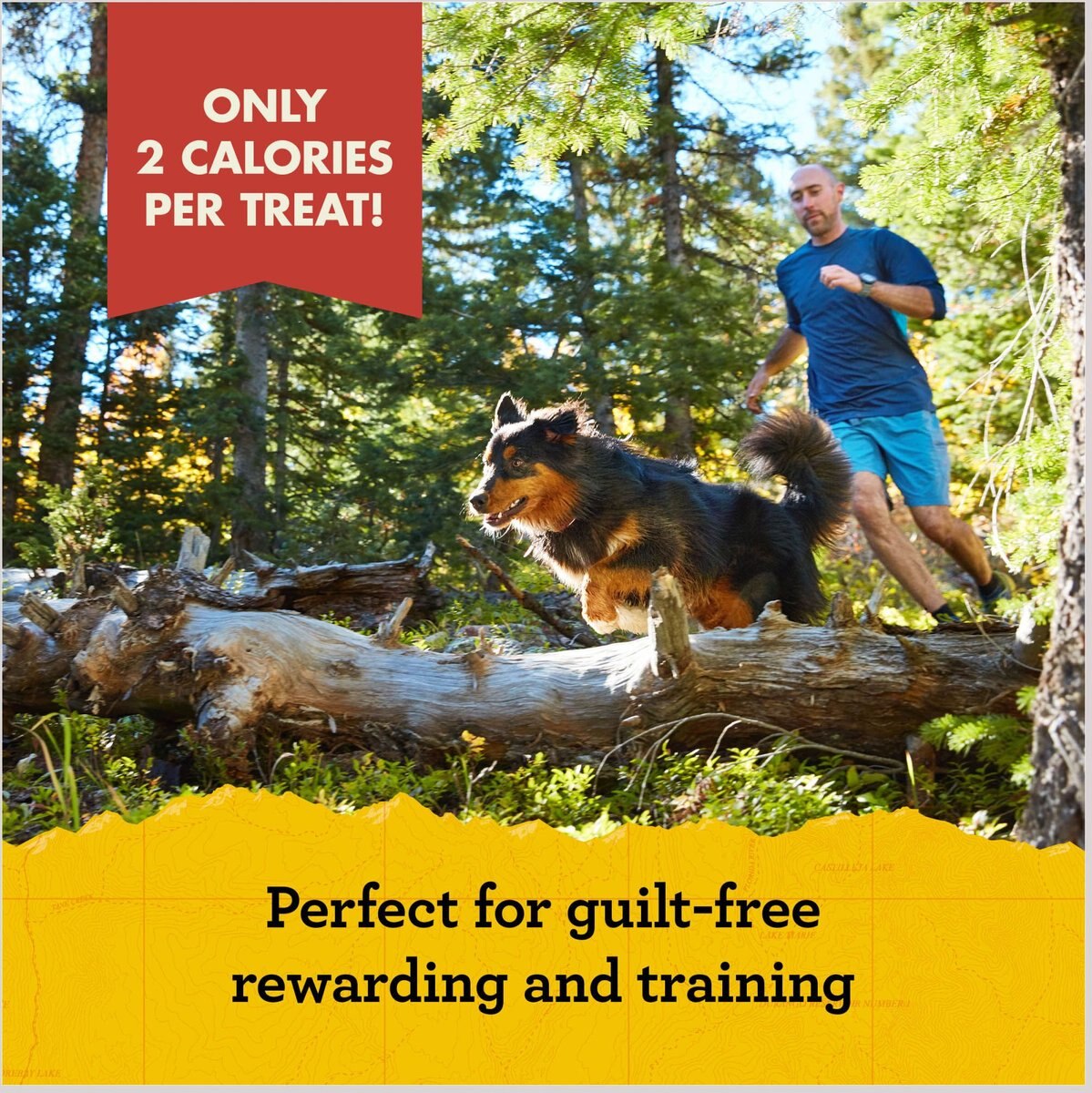 Zuke's Mini Naturals Salmon Recipe Training Dog Treats