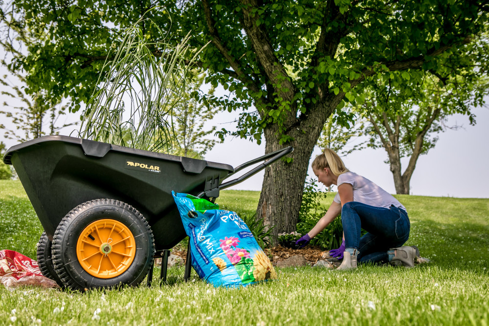 Polar Cub Cart