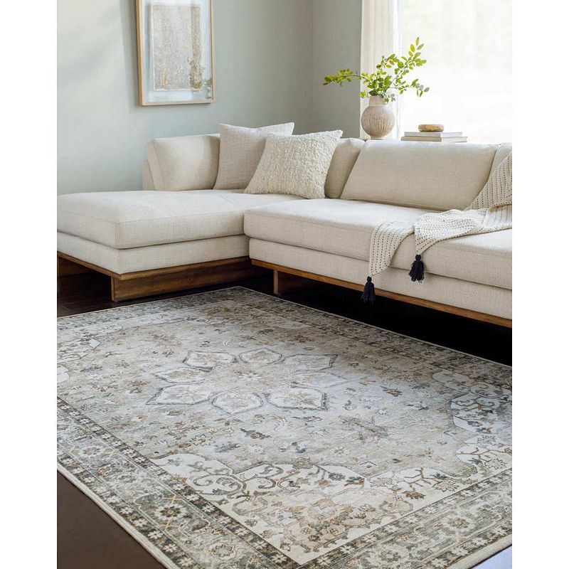 Chelcey Traditional Washable Area Rug