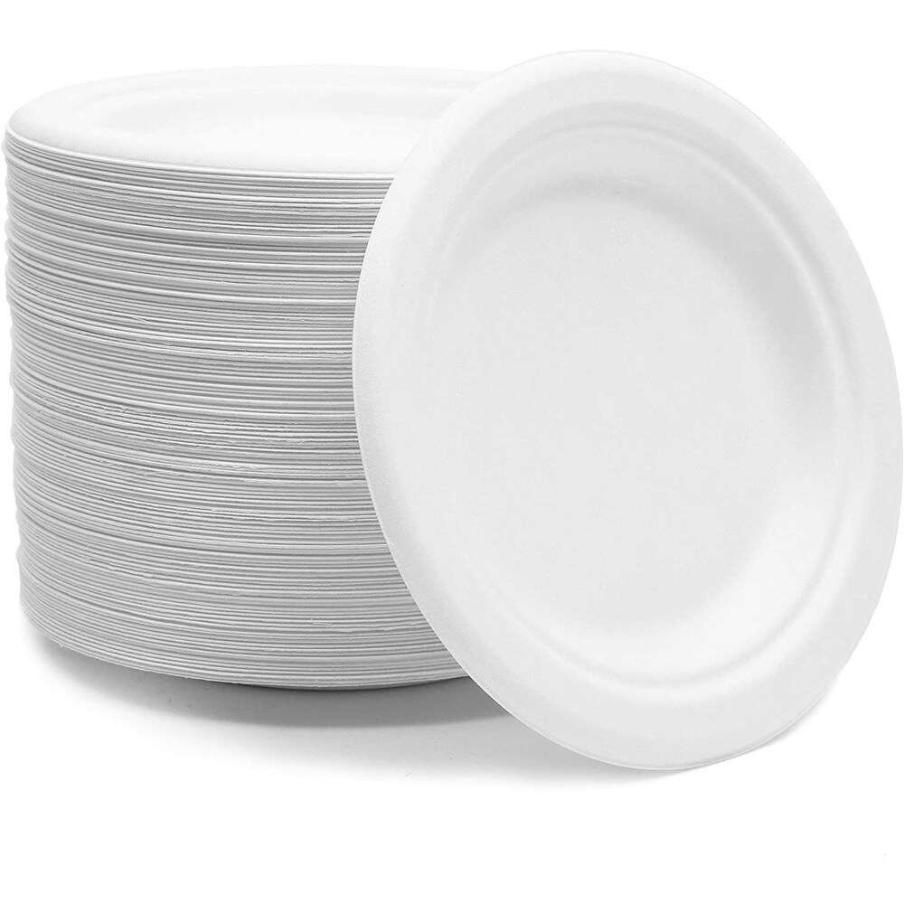 Small White Sugarcane Bagasse Plates  Round Dessert Plates (6 In  125 Pack)