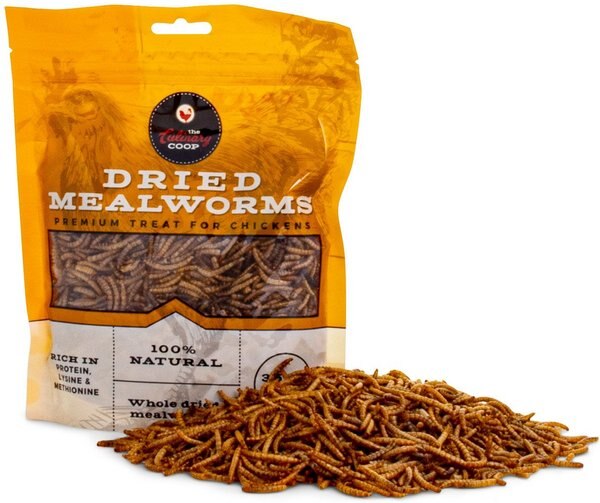 Culinary Coop Dried Mealworm Chicken Treats