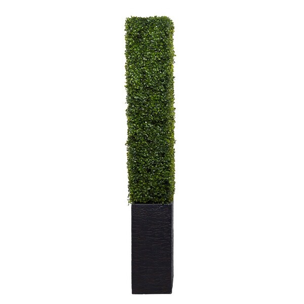 Exclusive and Utmost Beautiful Boxwood Hedge