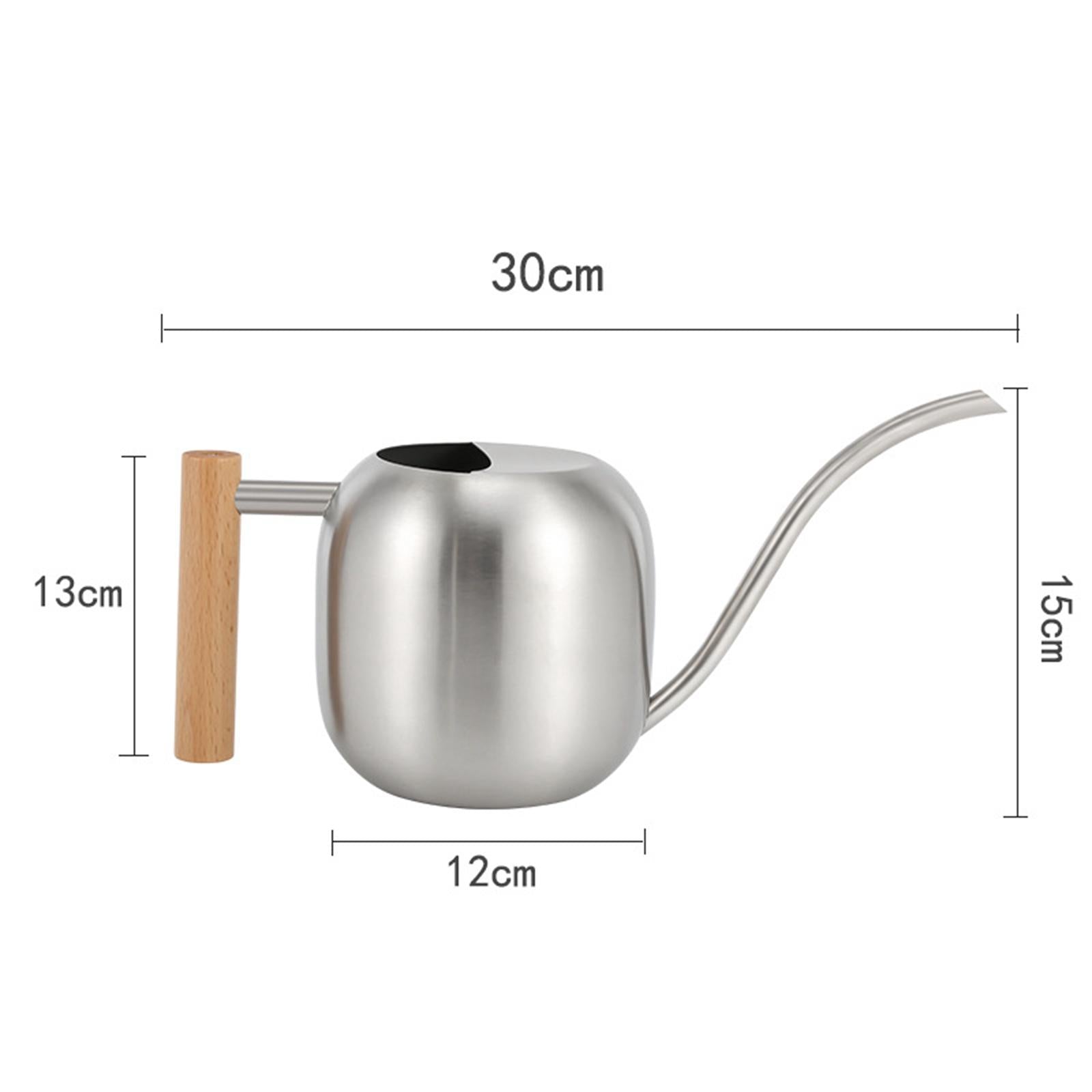 Stainless Steel Indoor Watering Can ,Modern Watering Can Pot, Wooden Handle Long Spout Watering Can for Patio, Flower ,Outdoor Decorative