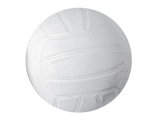 Assorted Volleyball