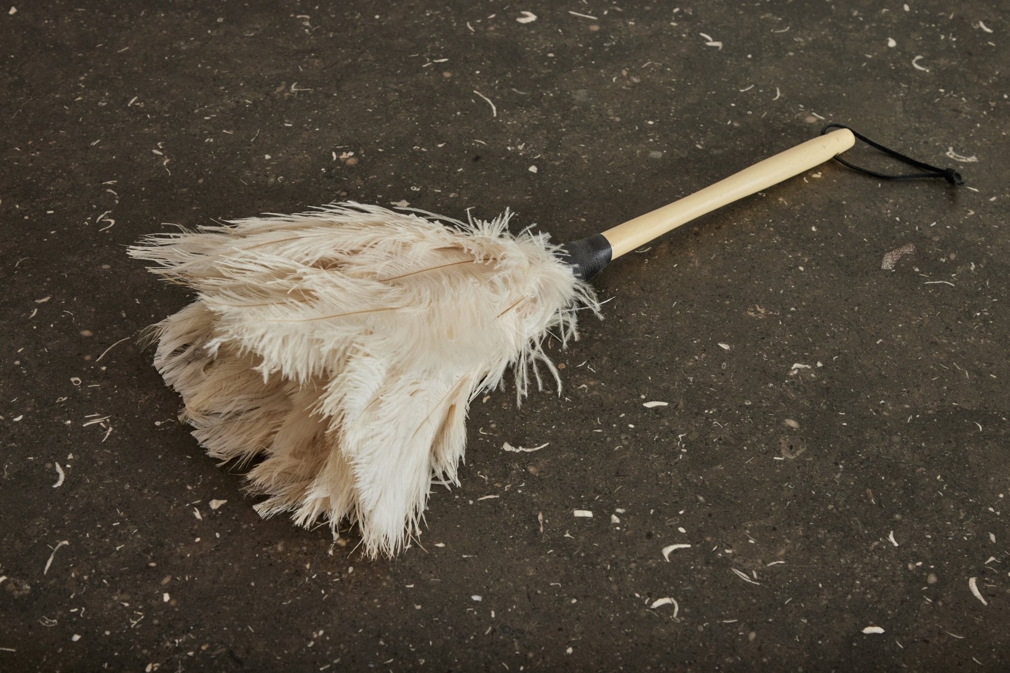 Ostrich Feather Duster