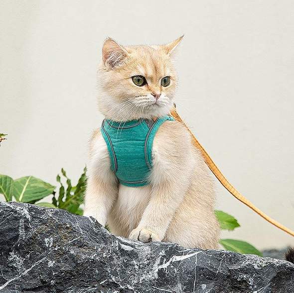 Cat Vest Harness and Leash Set