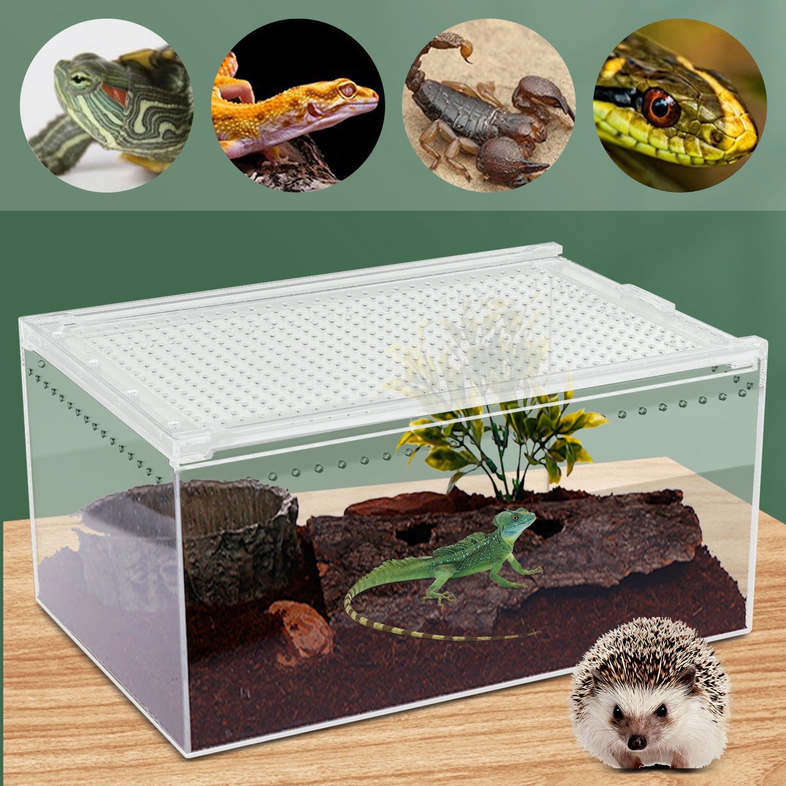 Reptile Feeding Box Snake Breeding Box Transparent Animal Habitat Cage Portable Plastic Turtle Transport Container for Bearded Dragon Lizard Spider Frog Scorpion Gecko