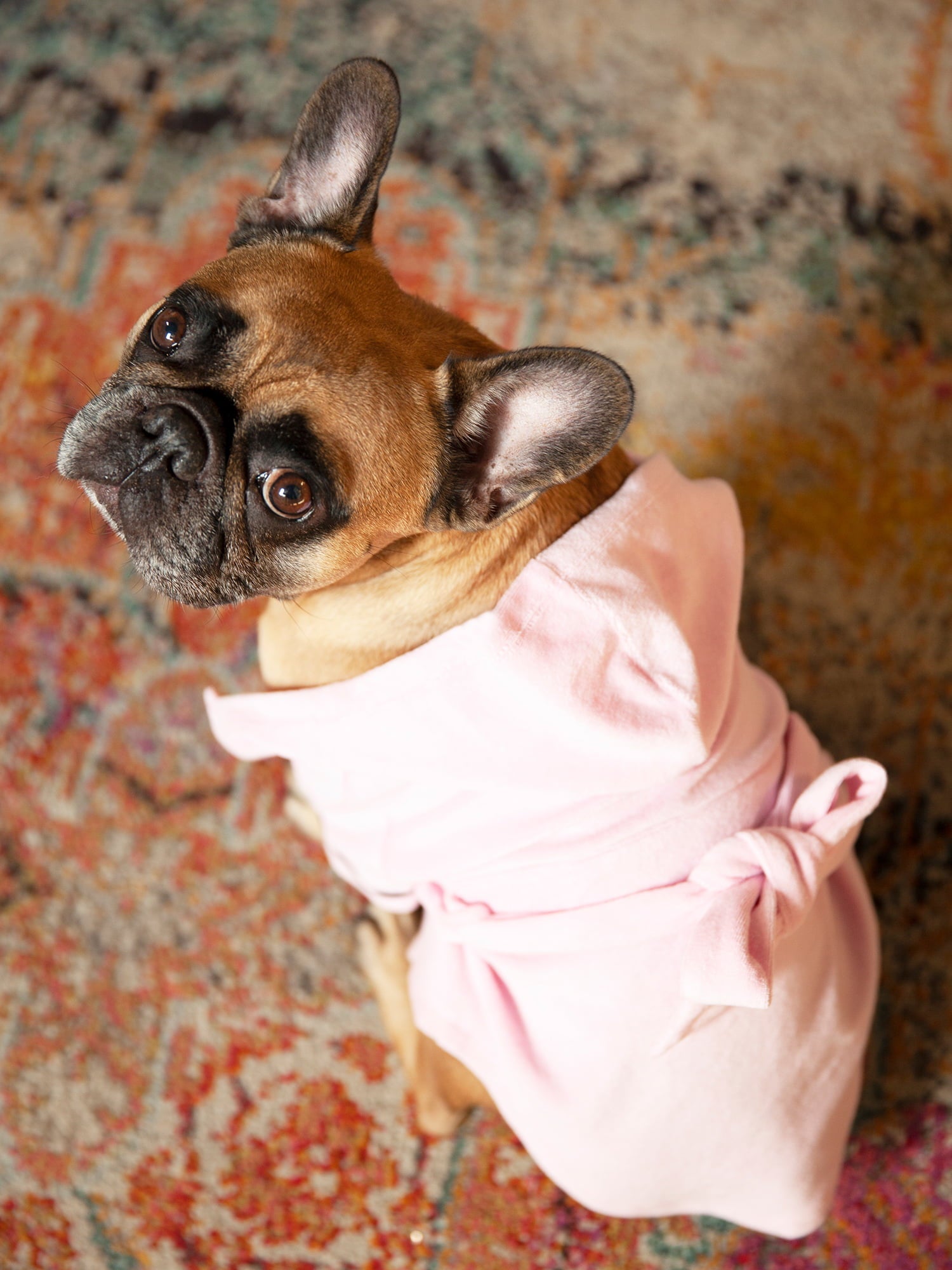 Coco + Rebel Pink Dog Robe