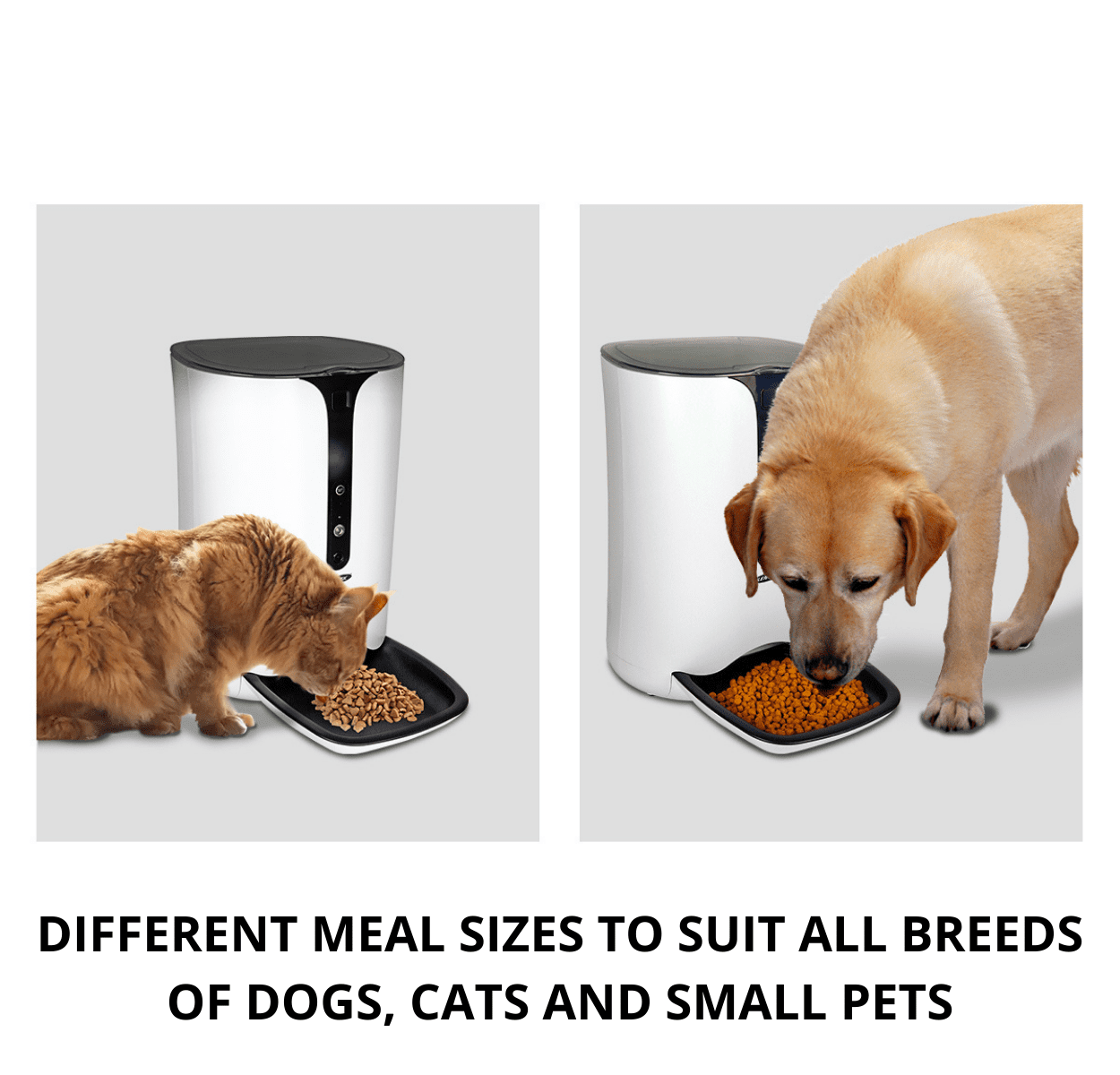 Lentek Smart Pet Feeder with 720p HD Video， 2-Way Audio， 200 oz. Programmable WiFi Cat or Dog Food Dispenser， Schedule Mealtimes， Automatic Portion Control， Free App for iPhone and Android Smartphone