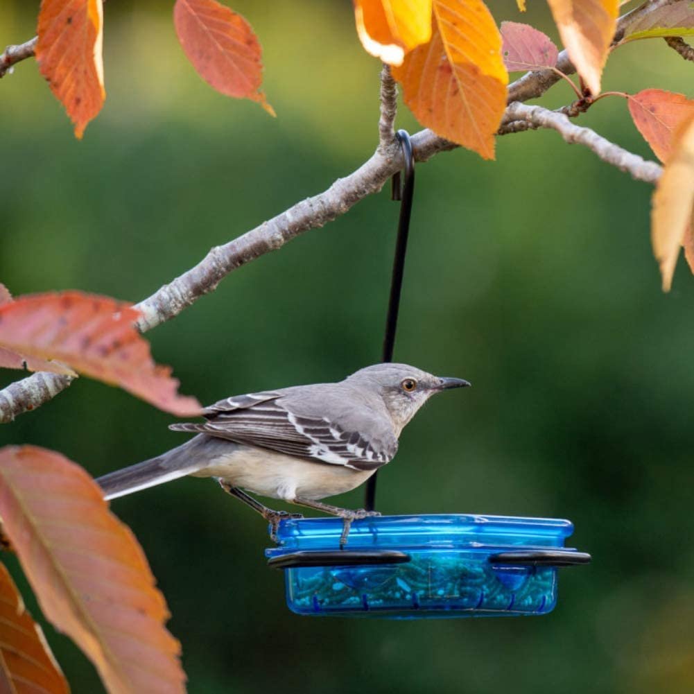 More Birds Snacks ’N’ Treats Single Serving Hanging Bird Feeder， Suet， Bird Seed， Jelly， Mealworms