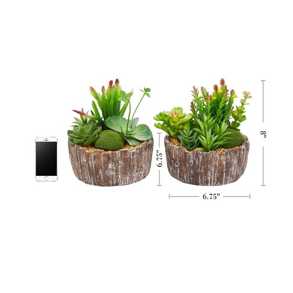 Pure Garden 2Piece Faux Succulent with Concrete Planter