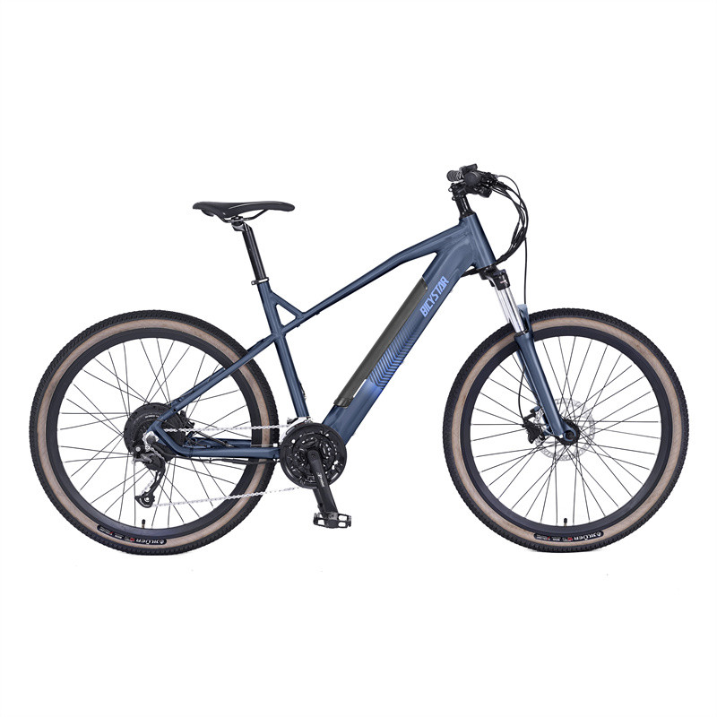 26 inch alloy electric bike for mountain 250W Motor bike electric bicycle lithium battery 36V e bike e bicycle electric cycle